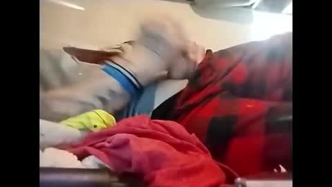 spundaddyandprincess online show from 12-08-24, 02:30