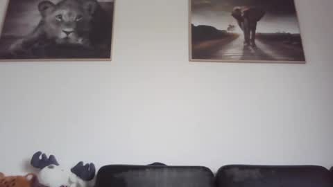 Snapshot of spyco82 chatting on 02-23-25, 09:11 spyco82 online show from 02-23-25, 09:11