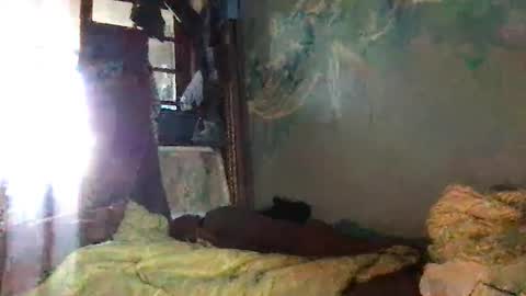 srekos38 online show from 10-07-25, 06:32