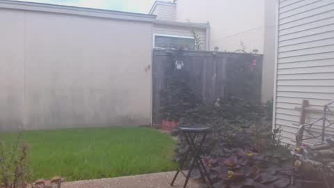 Snapshot of srtxshow chatting on 09-23-25, 07:06 srtxshow online show from 09-23-25, 07:06