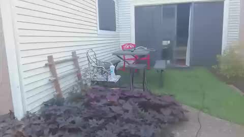 Snapshot of srtxshow chatting on 10-20-25, 12:49 srtxshow online show from 10-20-25, 12:49