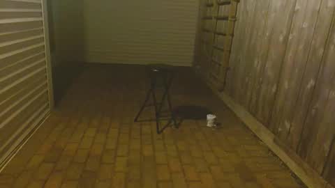 Snapshot of srtxshow chatting on 10-23-25, 11:53 srtxshow online show from 10-23-25, 11:53