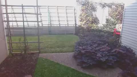 Snapshot of srtxshow chatting on 11-16-25, 08:47 srtxshow online show from 11-16-25, 08:47