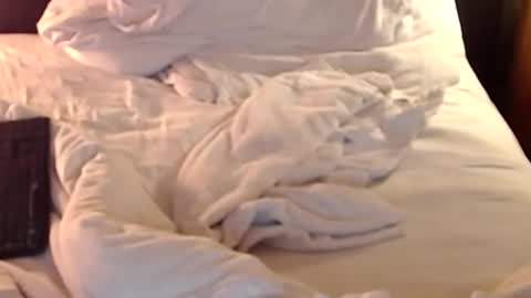 Snapshot of st8llion chatting on 01-11-25, 02:41 st8llion online show from 01-11-25, 02:41