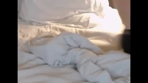 Snapshot of st8llion chatting on 02-27-25, 01:38 st8llion online show from 02-27-25, 01:38