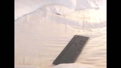 st8llion online show from 11-08-25, 02:12