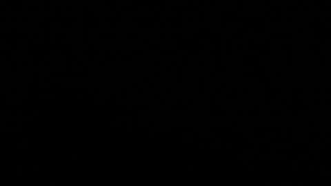 Stacy  online show from 11-08-25, 11:21