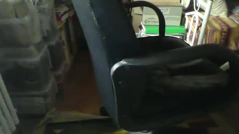 CIPPALIPPA online show from 01-21-25, 08:52