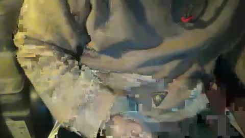 CIPPALIPPA online show from 11-08-25, 12:22