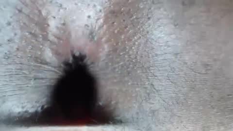 calvin online show from 02-26-26, 06:12