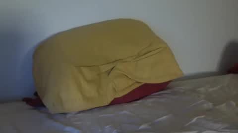 stan_hung online show from 12-08-24, 06:50