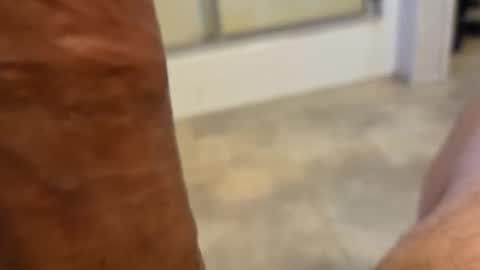 Snapshot of stareyes0249 chatting on 09-11-25, 10:32 stareyes0249 online show from 09-11-25, 10:32