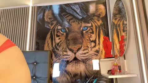 Snapshot of startevans chatting on 03-14-26, 04:18 startevans online show from 03-14-26, 04:18