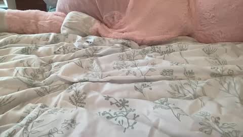 Snapshot of stassiethatsororitygirl chatting on 02-22-25, 08:53 Stassiethatsororitygirl online show from 02-22-25, 08:53