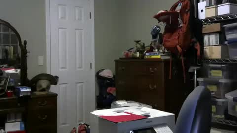 Snapshot of stasw20 chatting on 01-25-25, 03:09 stasw20 online show from 01-25-25, 03:09