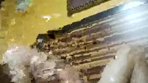 stchelly627 online show from 03-08-26, 06:28