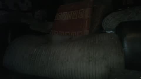 Snapshot of ste_wulf chatting on 03-04-25, 01:34 ste_wulf online show from 03-04-25, 01:34