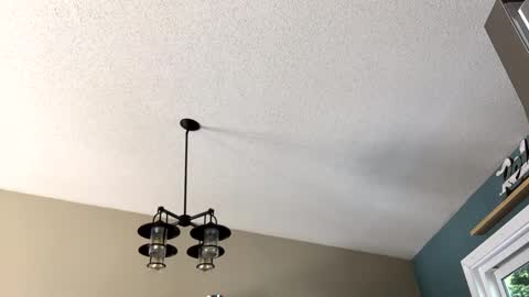 Snapshot of steakman007 chatting on 02-23-25, 06:01 Steakman online show from 02-23-25, 06:01