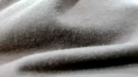 cici online show from 07-21-26, 10:06