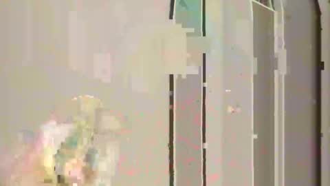 steedmont online show from 11-30-25, 11:31