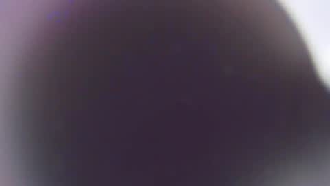 Stefano online show from 12-03-25, 11:41