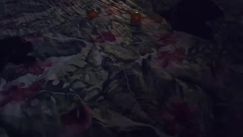 Rocco-load online show from 01-07-25, 06:56