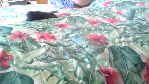 Rocco-load online show from 10-16-25, 01:56