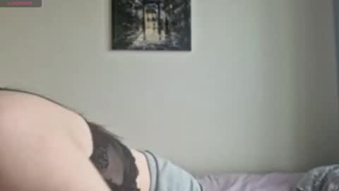 Stella online show from 11-26-25, 09:32