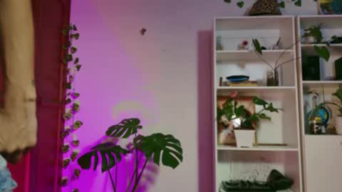 stellart_ online show from 11-20-25, 03:50