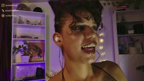 stellart_ online show from 02-05-26, 12:15