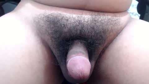 Snapshot of stellaven chatting on 01-24-25, 10:11 Stellaven online show from 01-24-25, 10:11