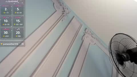         online show from 01-19-25, 09:44