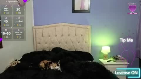 Snapshot of stephania_t chatting on 06-11-26, 02:11 Stephania online show from 06-11-26, 02:11