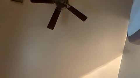 Snapshot of sterng123 chatting on 10-20-25, 03:51 sterng123 online show from 10-20-25, 03:51