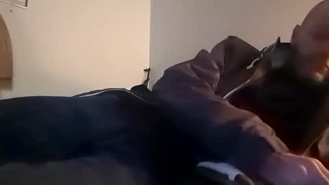 sterng123 online show from 11-12-25, 02:45