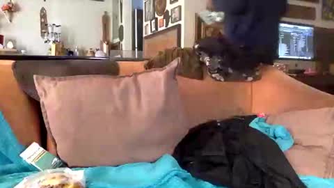 Snapshot of stevemason718 chatting on 02-25-25, 08:51 STEVE CASHMASTER 1comedia online show from 02-25-25, 08:51