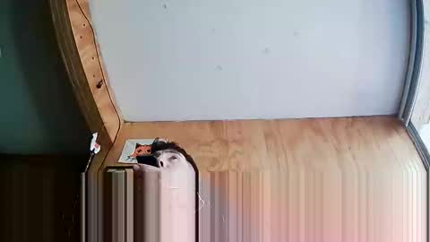 Steve online show from 10-04-25, 07:23