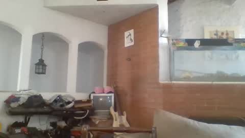 stevenson988 online show from 02-15-25, 06:44