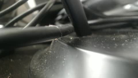 Stew Pididiot online show from 09-11-25, 04:51