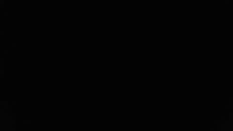 Stew Pididiot online show from 02-11-26, 09:09