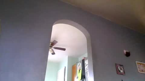 stickyredfunsize online show from 11-04-25, 02:05