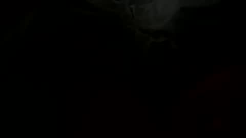 Snapshot of stockungs chatting on 02-14-25, 10:38 stockungs online show from 02-14-25, 10:38