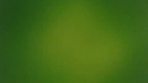 Snapshot of stonedandlovingit chatting on 03-03-25, 01:42 stonedandlovingit online show from 03-03-25, 01:42