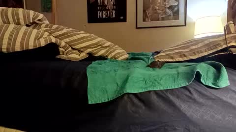 stoppageflo45662 online show from 10-24-25, 10:55