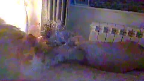 Snapshot of str8guy2015 chatting on 01-24-25, 04:28 str8guy2015 online show from 01-24-25, 04:28