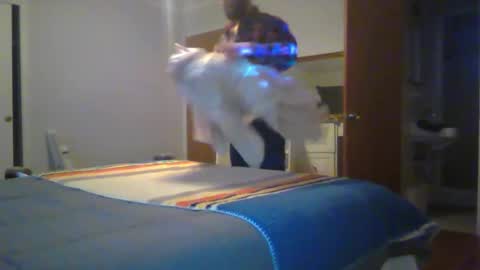 Chris4AllToWatch online show from 01-14-26, 06:08