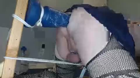 straight_anal85 online show from 11-26-25, 02:12