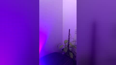 straight_boys_hornys online show from 12-20-25, 11:50