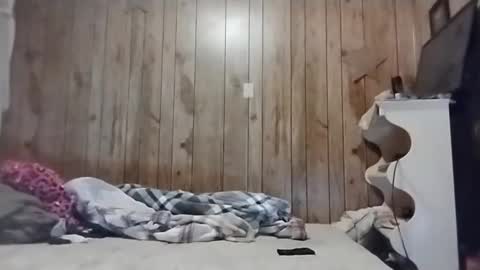 Snapshot of straighttoy chatting on 03-03-25, 05:09 straighttoy online show from 03-03-25, 05:09