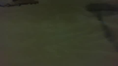 Snapshot of stratocatster chatting on 01-11-25, 04:46 stratocatster online show from 01-11-25, 04:46